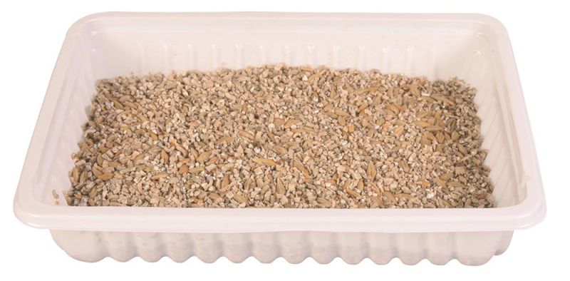 Kattegress Biologisk 100g