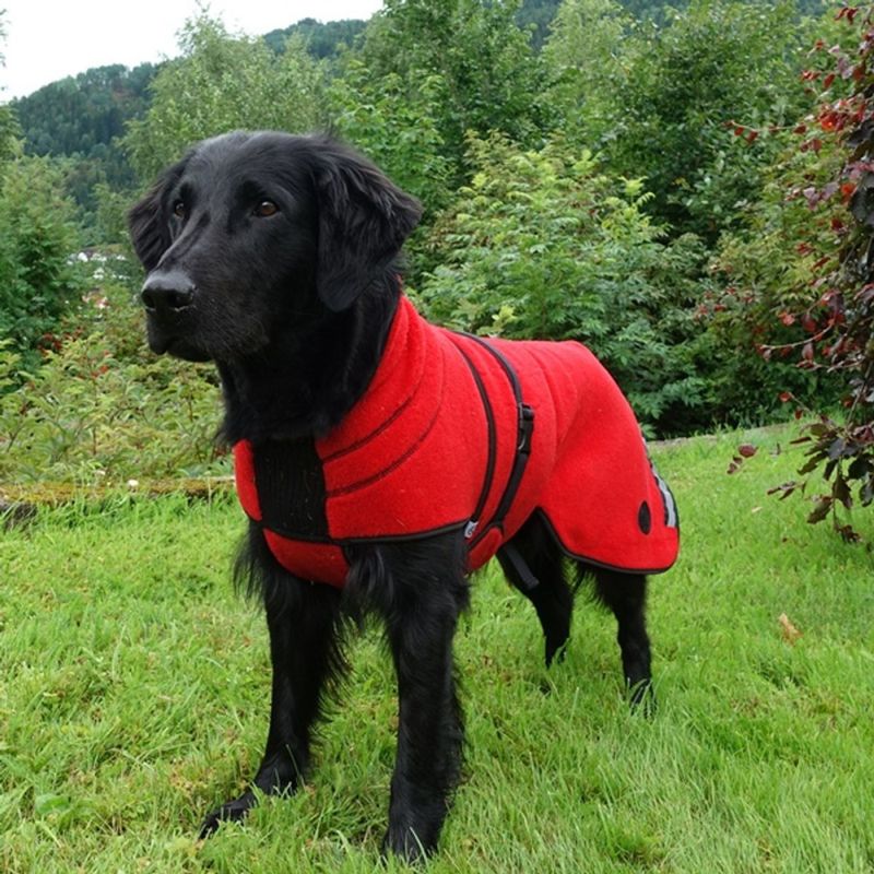 CANELANA Lana Rød - tynt ulldekken hund