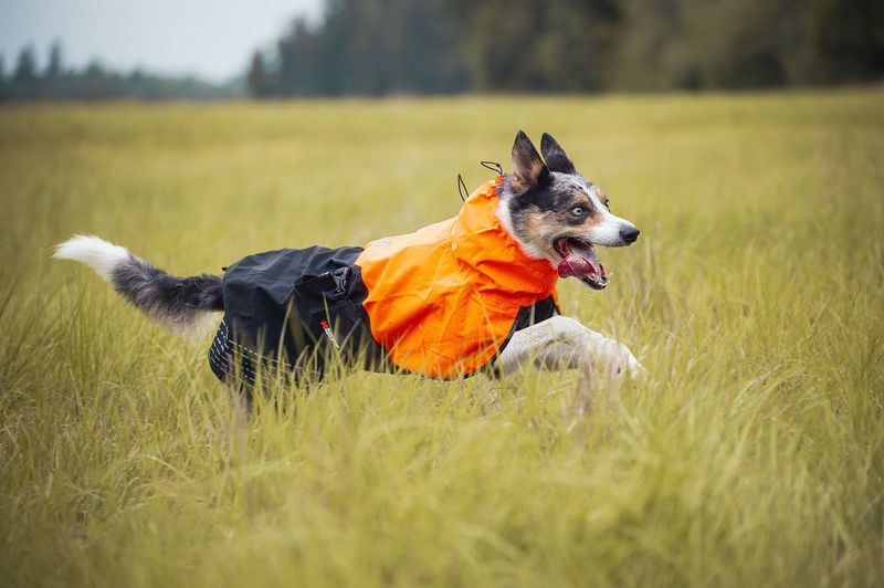 Non-stop dogwear Fjord raincoat dekken
