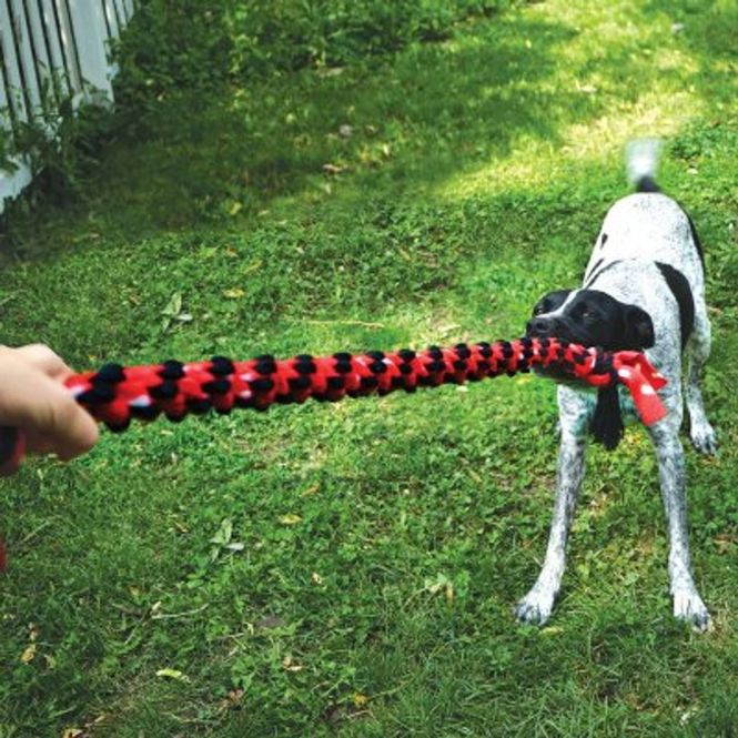 Hovedbilde Hundeleke KONG Signature Rope Mega Dual Knot