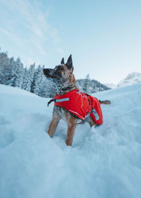Hovedbilde Non-stop dogwear Long distance jacket dekken