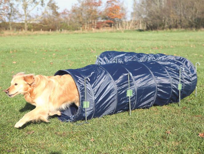 Hovedbilde Agility Tunnel 5m x 60cm