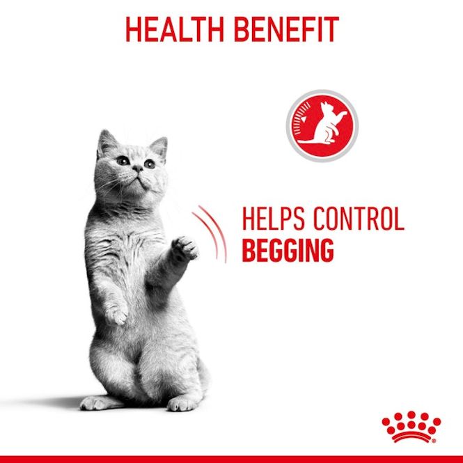 Hovedbilde Royal Canin Våtfor Appetite Control Gravy 85g