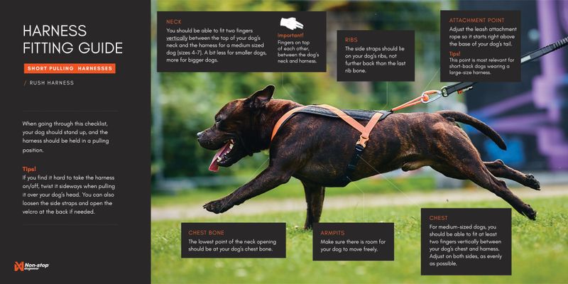 Non-stop dogwear Rush harness