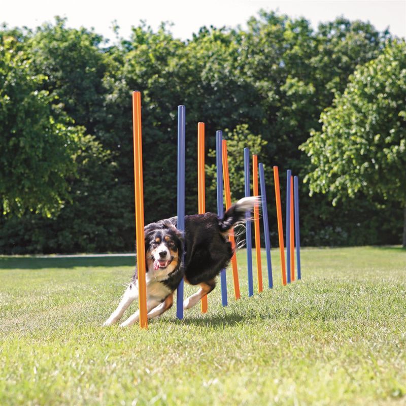 Agility Slalåm Hinder12stk