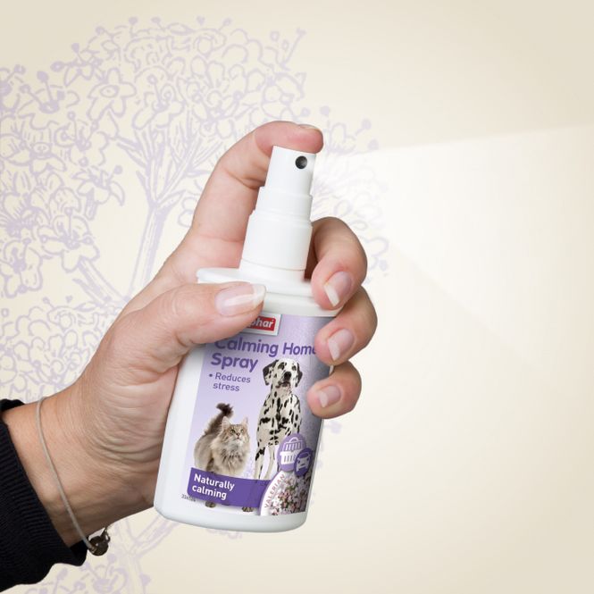 Hovedbilde Beaphar Calming Spray