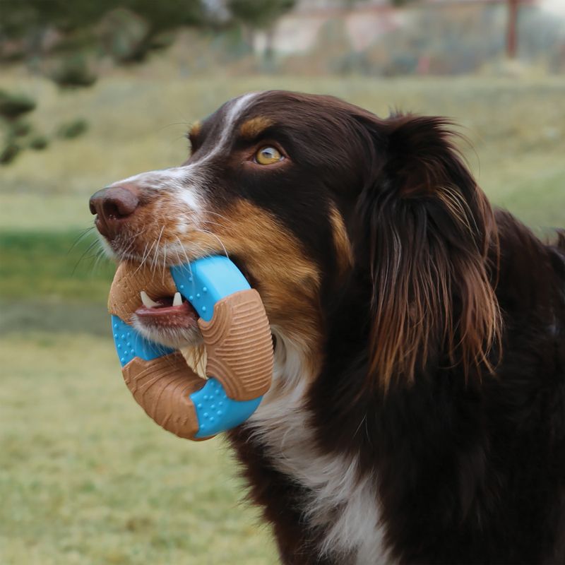 Hundeleke KONG CoreStrength Bamboo Bone L