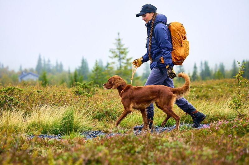 Non-stop dogwear Retriever leash