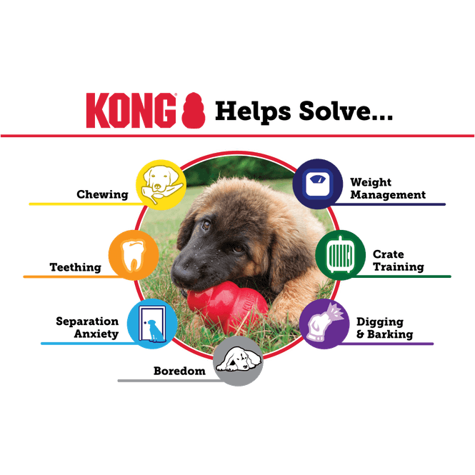 Hovedbilde Hundeleke KONG Classic Orginal m/ tau
