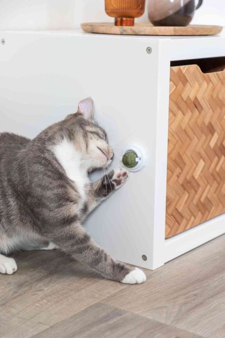 Hovedbilde Catnip Ball M/Holder Ø5cm
