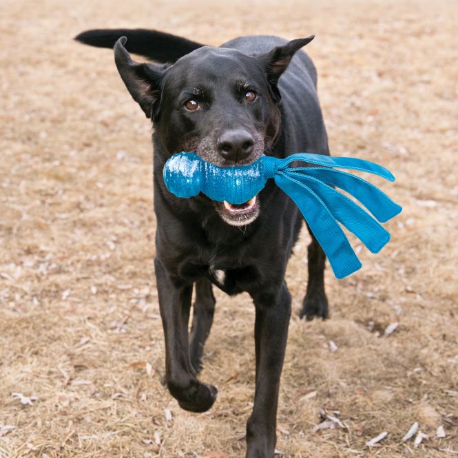 Hovedbilde Hundeleke KONG Wubba Comet