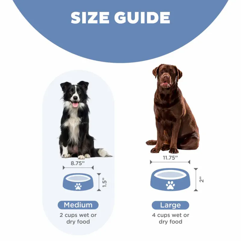 Oh Food Bowl Fun Feeder Slow-bowl