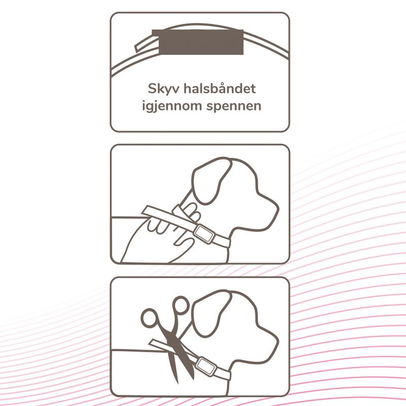 Beaphar CaniComfort® Beroligende halsbånd valp
