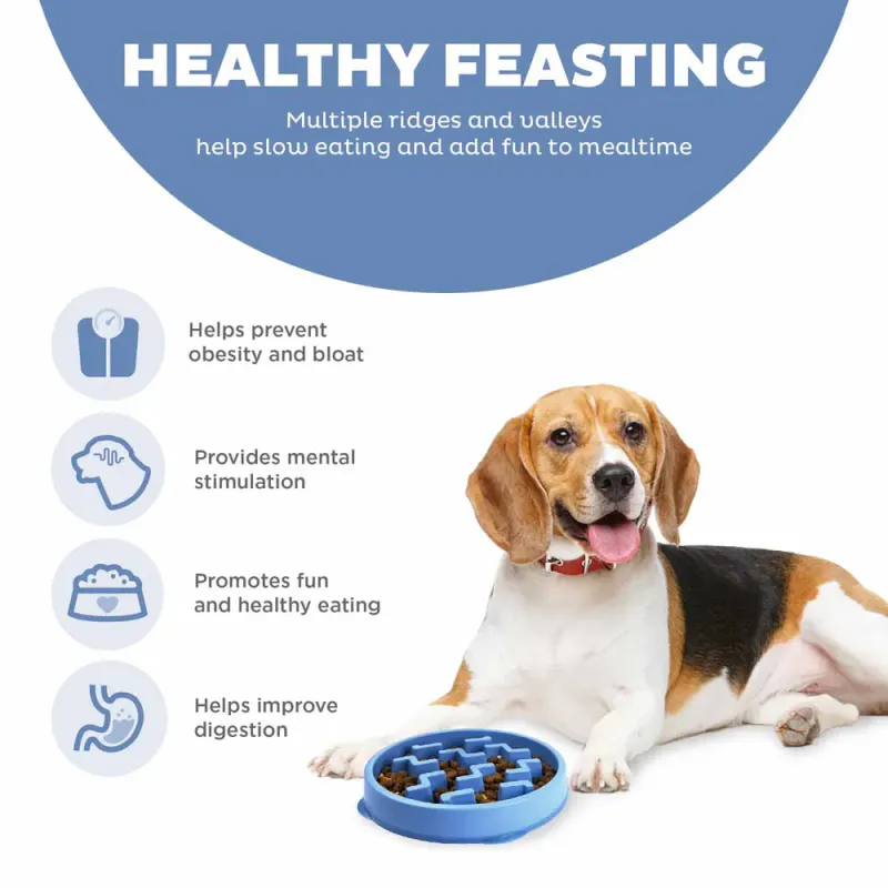 Oh Food Bowl Fun Feeder Slow-bowl