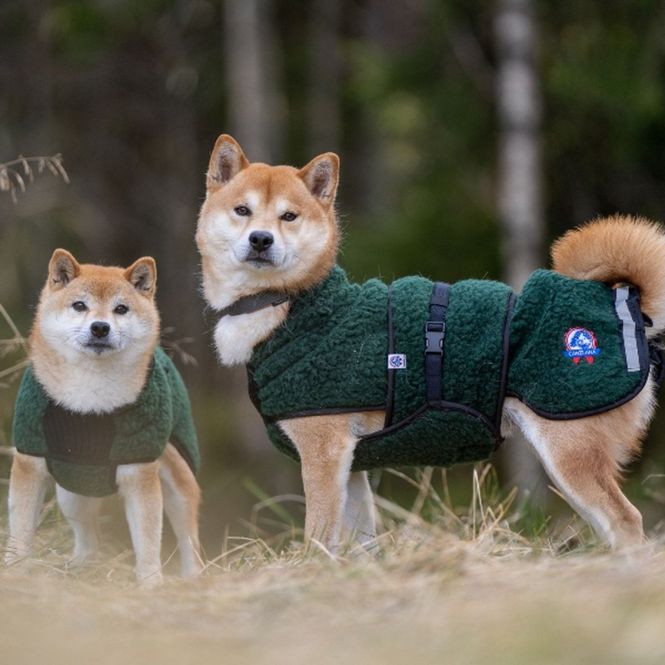 Hovedbilde CANELANA Selva ulldekken hund