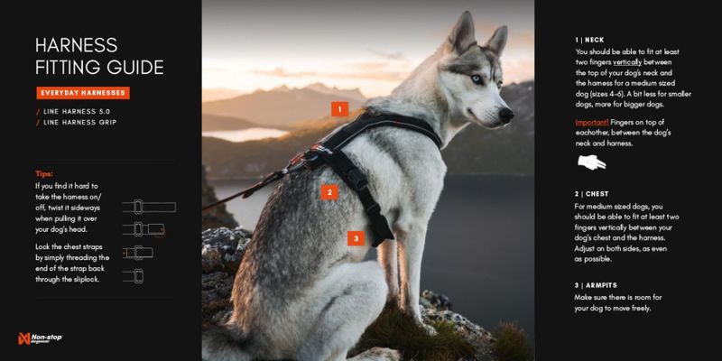Non-stop dogwear Line harness 5.0