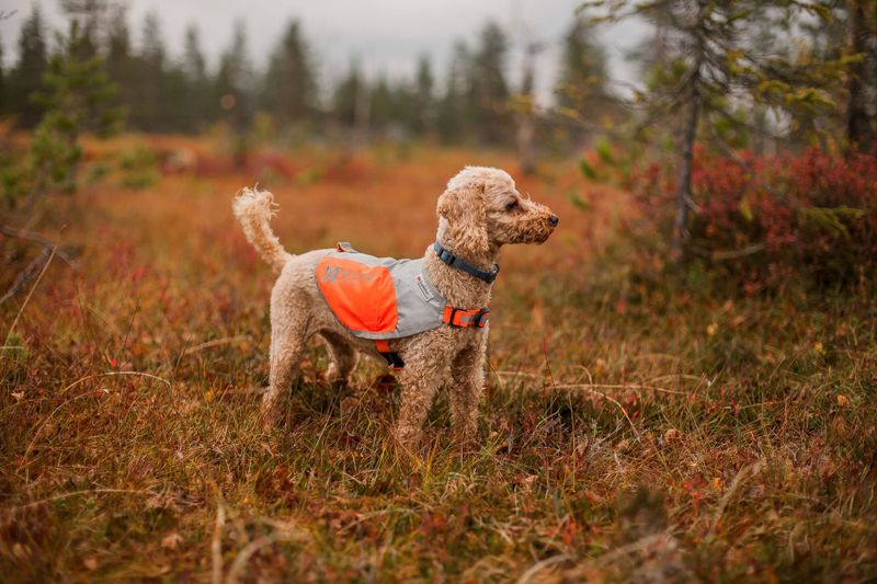 Non-stop dogwear Reflection blanket dekken