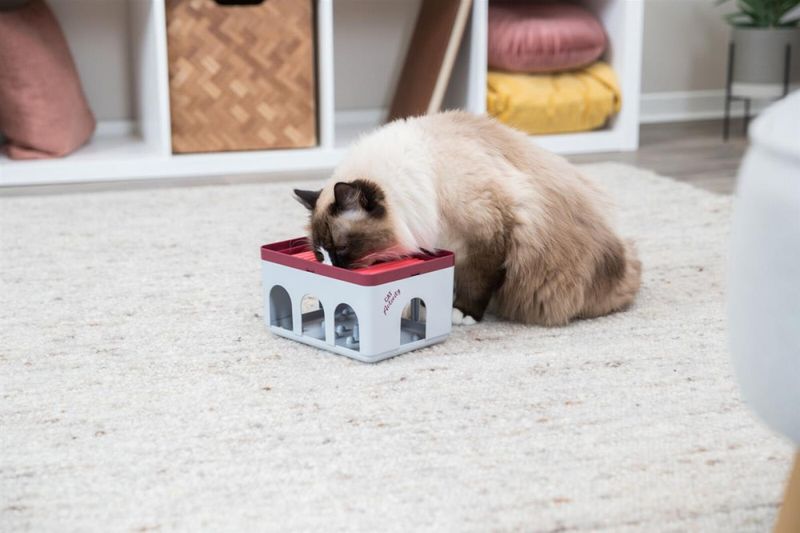 Katteleke Cat Activity Rod Box 20x16x12cm