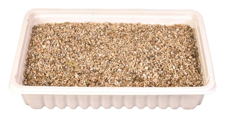 Kattegress Refil 100g