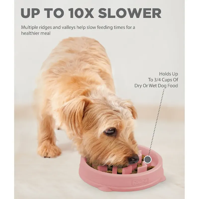Oh Food Bowl Fun Feeder Slow-bowl Xs