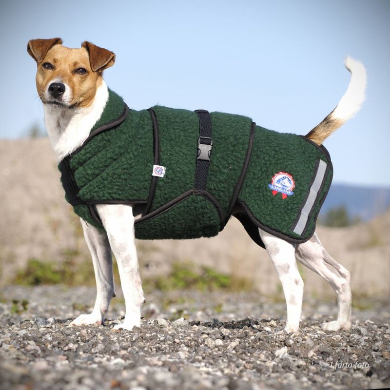 CANELANA Selva Ulldekken Hund Terrier