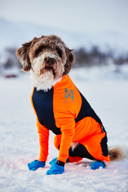 Non-stop dogwear Protector snow dekken