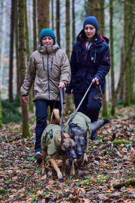 Hovedbilde Non-stop dogwear Solid leash WD 200 cm