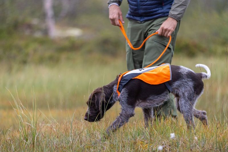 Non-stop dogwear Protector cover 2.0