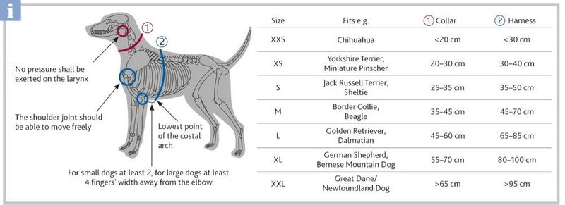 Hundesele Step-in Premium S