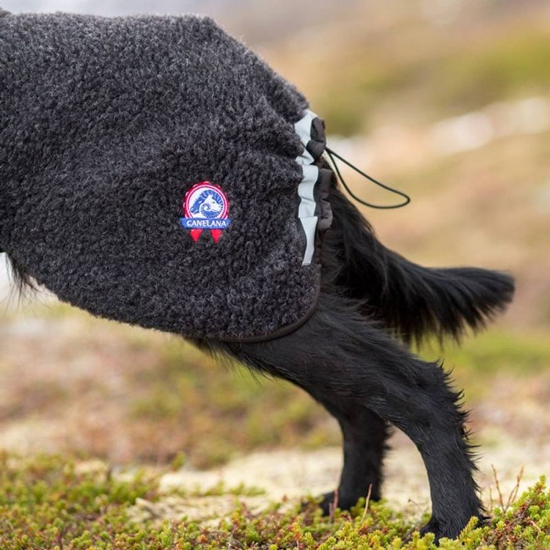 CANELANA Ambassadør Ulldekken Hund Dachs