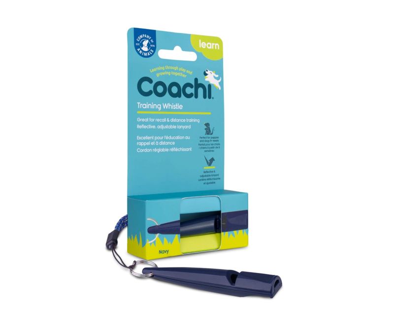 Fløyte Coachi Training