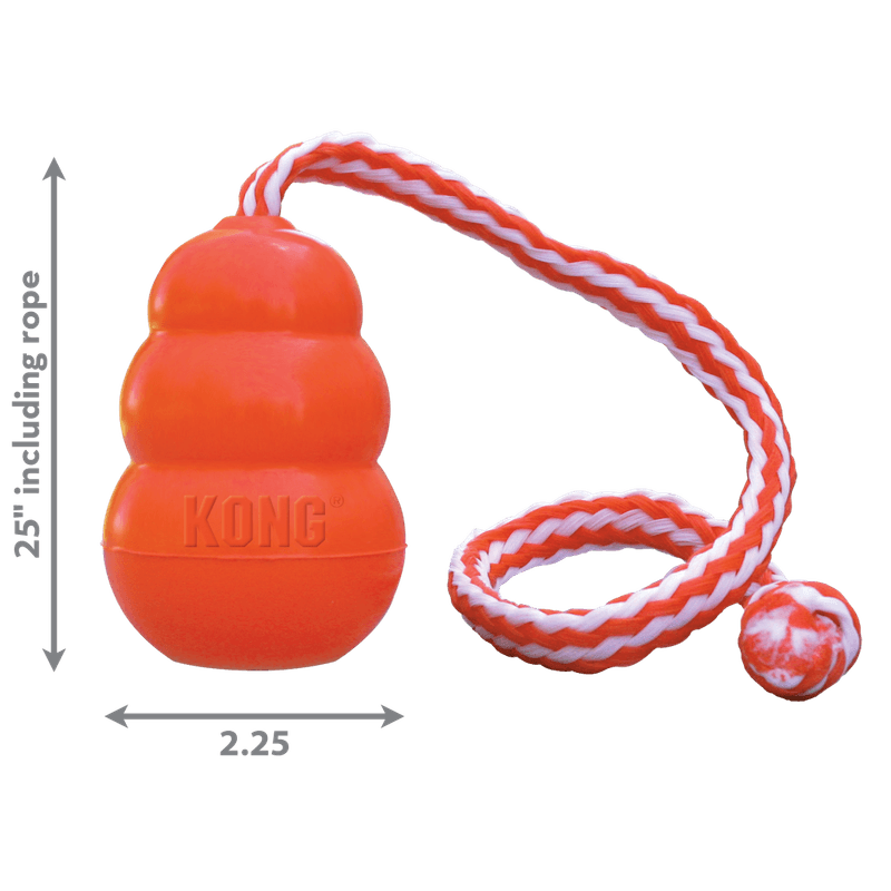 Hundeleke KONG Aqua Flyteleke