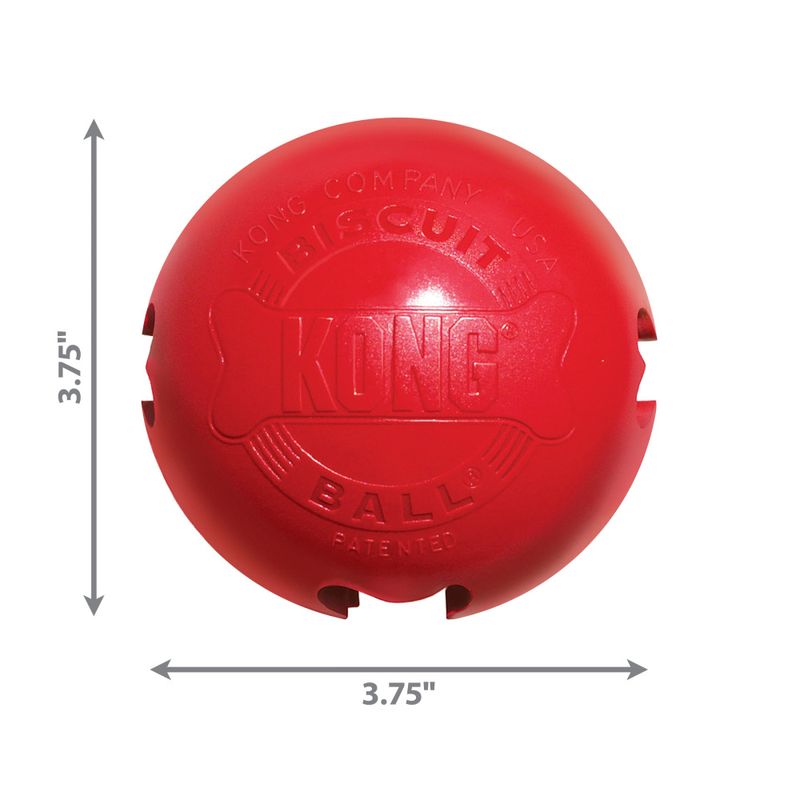 Hundeleke KONG Biscuit Ball