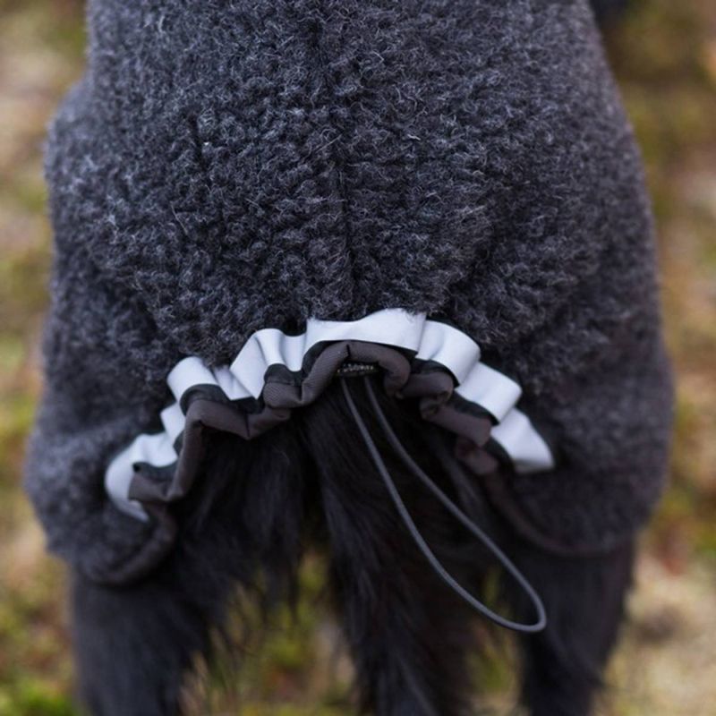 CANELANA Ambassadør Ulldekken Hund Dachs